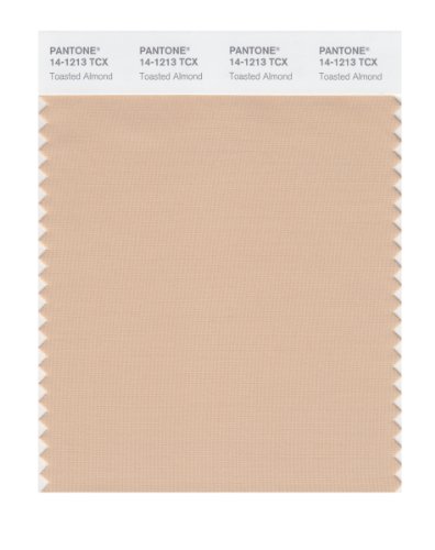 PANTONE SMART 14-1213X Color Swatch Card, Toasted Almond