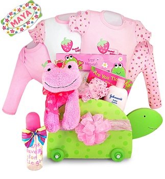 Tickled Pink Personalized Baby Girl Turtle Toy Chest Gift 12 Pc Basket