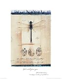 Dragon Fly Art Print Poster By Julie Nightingale, 22  x 28 
