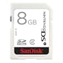 SanDisk 8GB SDHC for Nintendo DSi
