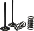 Pro X Steel Intake Valve/Spring Kit HONDA CRF250R CRF250X