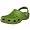 Parrot Green