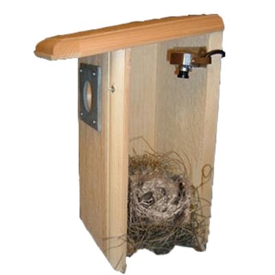 Coveside Backyard Birdhouse with Camera