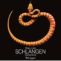 Schlangen - Serpentine
