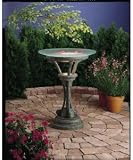 41sAWY78iRL. SL160  Buy Garden Bird Bath Now