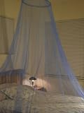 OctoRose ® Blue Hoop Bed Canopy Mosquito Net Full Queen King