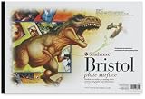 Strathmore Sequential Art Surfaces - 11 times; 17, 500 Series Bristol, 24-Sheet Pad, Vellum