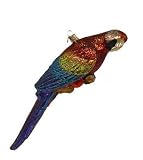 Magnificent Parrot Glass Christmas Ornament