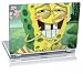 Dell D620 Laptop - Spongebob - Squarepants Missing Teeth
