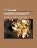 Cyprinidae: Carpa Koi, Carassius Auratus, Cyprinus Carpio, Barbus, Danio Rerio, Garra, Phoxinus Phoxinus, Tanichthys Albonubes, As