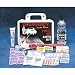 Emergency First Aid Auto Kit