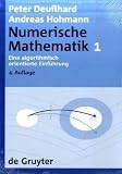 Numerische Mathematik: Numerische Mathematik 1: Eine algorithmisch orientierte Einf&uuml;hrung: Bd I: [Band] 1 (de Gruyter Lehrbuch) - Peter Deuflhard, Andreas Hohmann