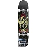Bravo Sports Evolution Skateboard and DVD