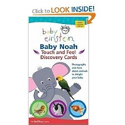 BABY EINSTEIN BABY NOAL TOUCH AND FEEL DISCOVERY CARDS