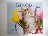 Kittens 2009 16 Month Wall Calendar