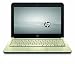 HP Pavilion DM1-2010SA Entertainment Laptop (AMD Athlon II Neo K125 1.7GHz, 2 GB RAM, 250 GB HDD, 11.6-inch display, Windows Home Premium)