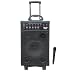 PYLE-PRO PWMA1050 - 800 Watt VHF Wireless Battery Powered Pa System W/Echo/Ipod/MP3 Input Jack