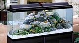 Perfecto Bio-Wheel Glass Deluxe Aquarium Kit 55 Gallon