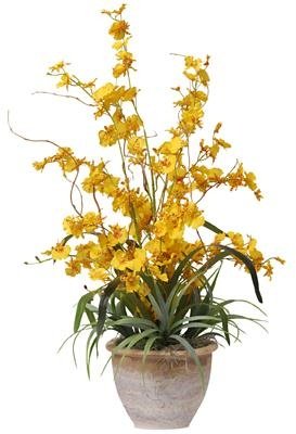 Dancing Lady Silk Orchid Plant – Yellow