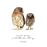 little birds with broken wings