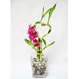 BUY : 9GreenBox - Live Heart 4 Style Lucky Bamboo Arrange w/ Glasses Vase Pebble Silk Orchid