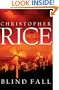 Blind Fall: A Novel
