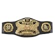 WWE Tag Team...