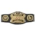 WWE Tag Team Championship (SD)