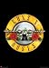 Guns N Roses (Gun Logo, Huge) Music Poster Print - 40