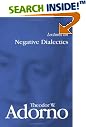 Lectures on Negative...