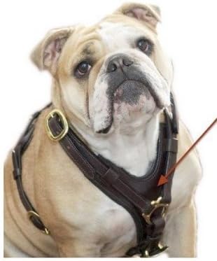 Genuine Leather dog Harness Soft padding LDH-006 (Black, Large)