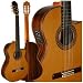 2CWE Cutaway Nylon String Acoustic Electric Guitar