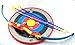 Toy Bow and Arrow Archery Set with Target and 3 Suction Cup Arrows
