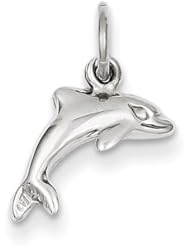 14k White Gold Dolphin Charm