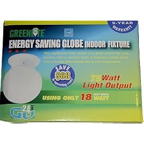 Energy Saving Globe Indoor Fixture