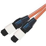 Cables to Go - Network cable - MTP multi-mode (F) - MTP multi-mode (F) - 66 ft - fiber optic - 50 / 125 micron - orange