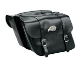 Waterproof Advanced Designed Great Eagle Motorcycle Saddlebags