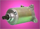 Discount Starter & Alternator