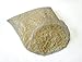 Organic Latex Foam Rubber shredded 5 lbs