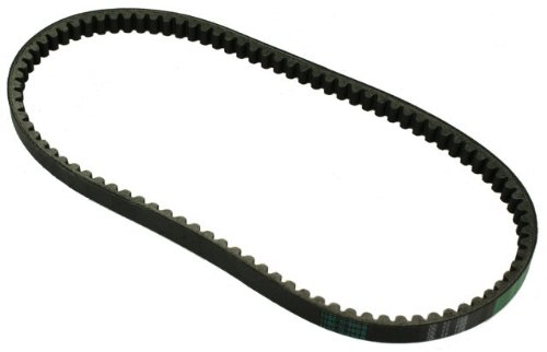 Standard CVT Drive Belt
