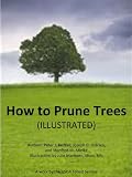 How to Prune Trees (ILLUSTRATED)