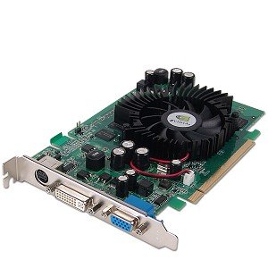 Amazon.com: NVIDIA GeForce 8500GT 512M