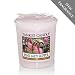 Pink Lady Slipper Sampler