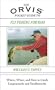 The Orvis Pocket Guide To Fly Fishing for Bass: When, Where, and How to Catch Largemouths and Smallmouths