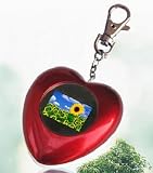 Sungale JC115 Heart Digital Photo Frame