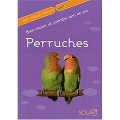 Bien choisir et prendre soin de vos Perruches