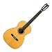 S.Yairi Japan Vintage Series YN-200 �A�R�[�X�e�B�b�N�M�^�[ �n�[�h�P�[�X�t