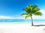 IMAGE OF Wallmonkeys Peel and Stick Wall Decals - Palm and Sea - 60