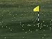 Golf Balls Scattered on a Driving Range Photographic Poster Print, 24x18