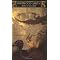 strong heroines in YA fantasy duets, trilogies, & quartets